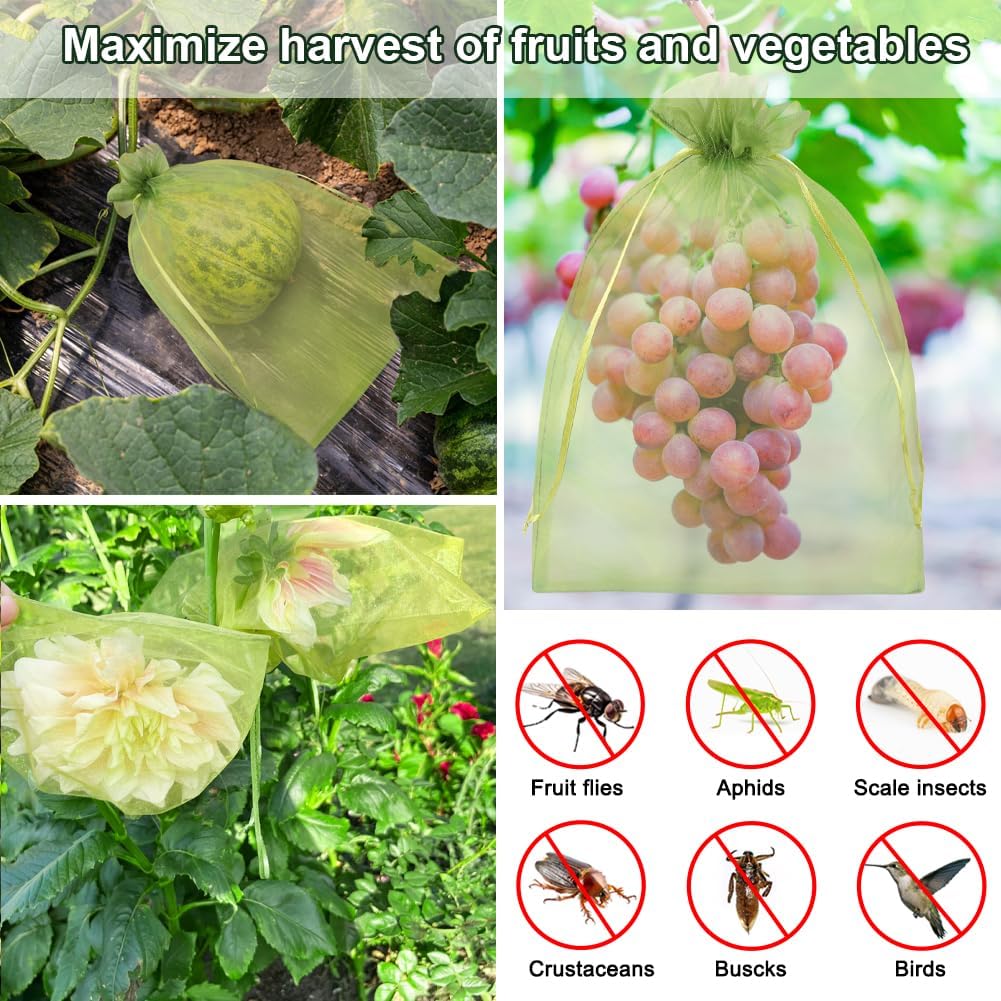 Shintop 100Pcs Fruit Protection Bags, 6x9 Inch Green Fruit Tree Netting Cover Drawstring Mesh Tomato Bags Pest Barrier for Apples Mango