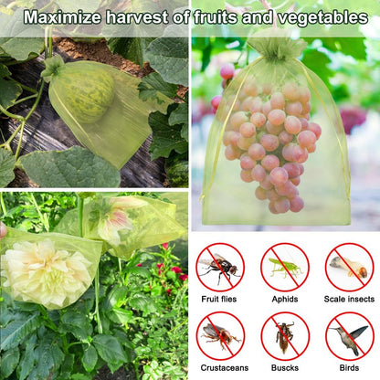 Shintop 100Pcs Fruit Protection Bags, 6x9 Inch Green Fruit Tree Netting Cover Drawstring Mesh Tomato Bags Pest Barrier for Apples Mango