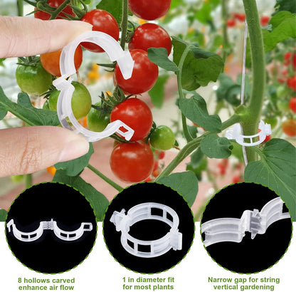 40Pcs Tomato Hooks with String, Holder & Plant Support Clips - 33.3ft Twine to Prevent Tomatoes from Pinching or Falling Off