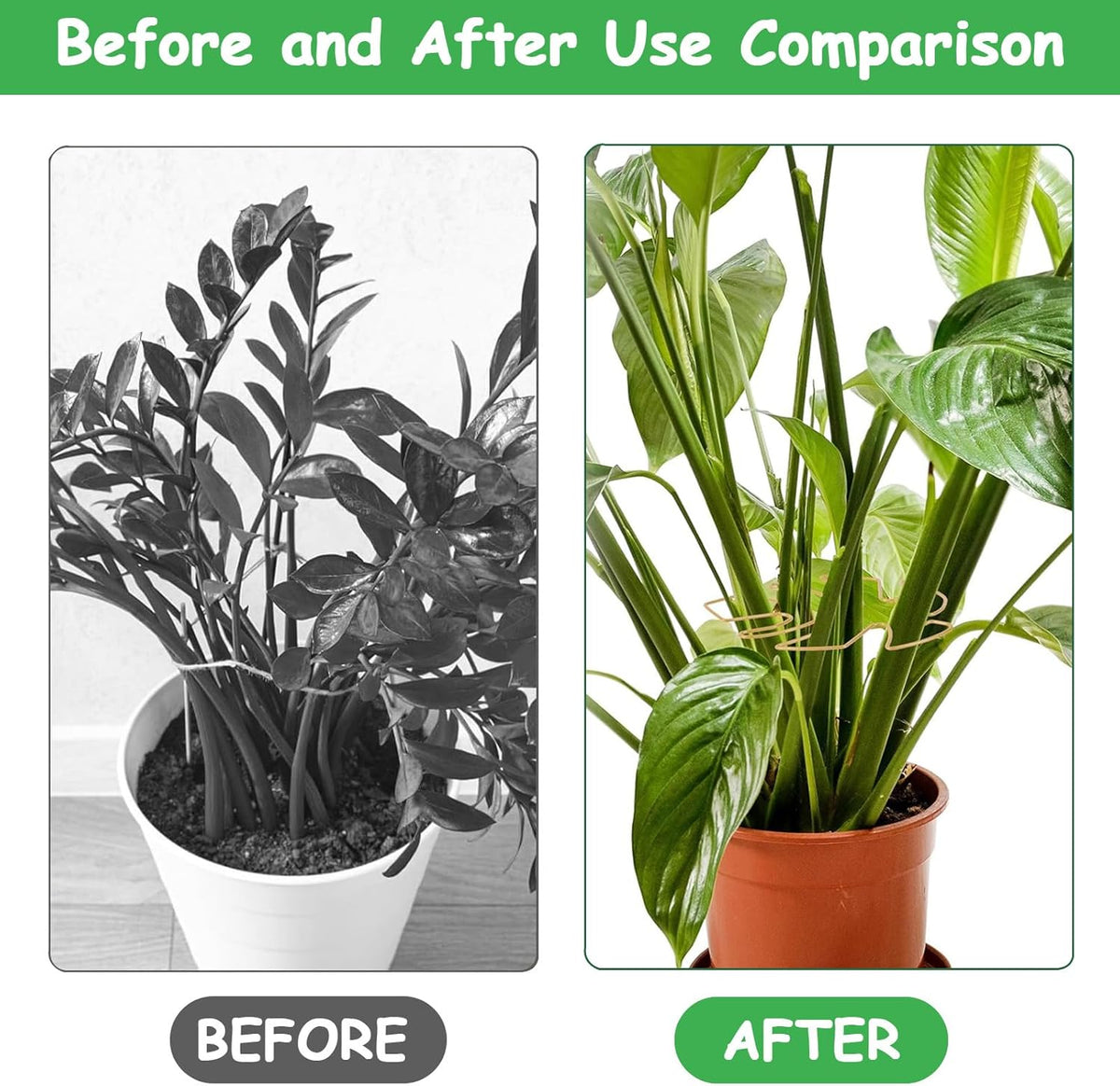 5 Pcs Plant Stem Support, Iron Monstera Plant Support, Durable Hook Stem Supports for Healthy Growth, Bamboo Clamp Set for Leaf Stabilization and Support, Ideal Present for Plant Lovers