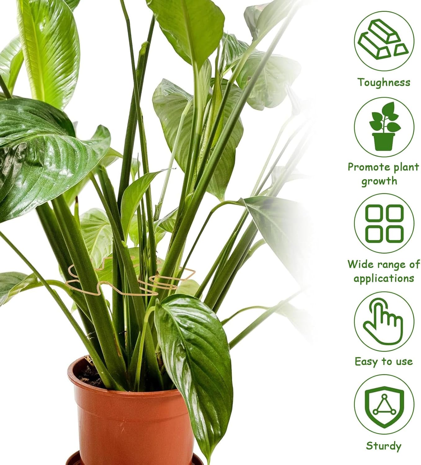 5 Pcs Plant Stem Support, Iron Monstera Plant Support, Durable Hook Stem Supports for Healthy Growth, Bamboo Clamp Set for Leaf Stabilization and Support, Ideal Present for Plant Lovers