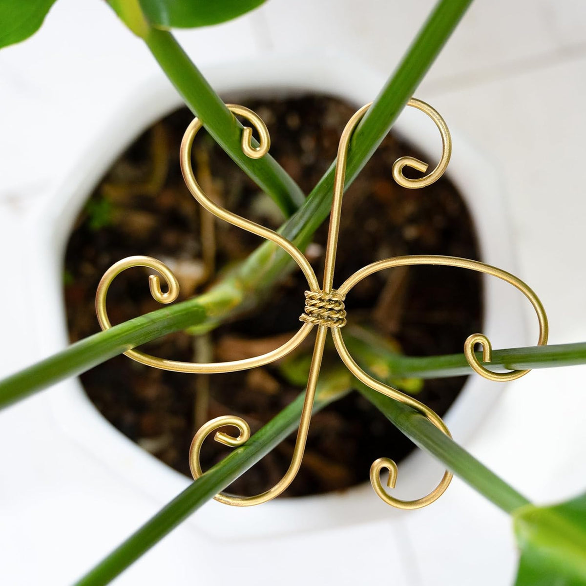 5PCS Monstera Plant Support Hook - 4.1 * 4.4IN Stem Holder