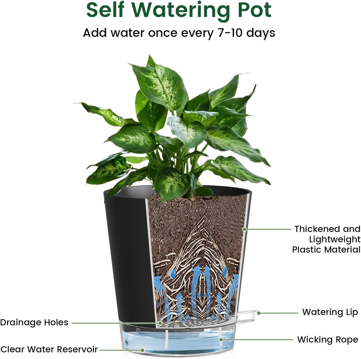 Meowell Self Watering Pots Pack of 6 – Different Size 4" to 7" Indoor Plant Pots with Drainage Holes and Clear Reservoir for Visible Water Level, Plastic Wicking Planters for House Plants, White