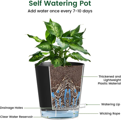 Meowell Self Watering Pots Pack of 6 – Different Size 4" to 7" Indoor Plant Pots with Drainage Holes and Clear Reservoir for Visible Water Level, Plastic Wicking Planters for House Plants, White