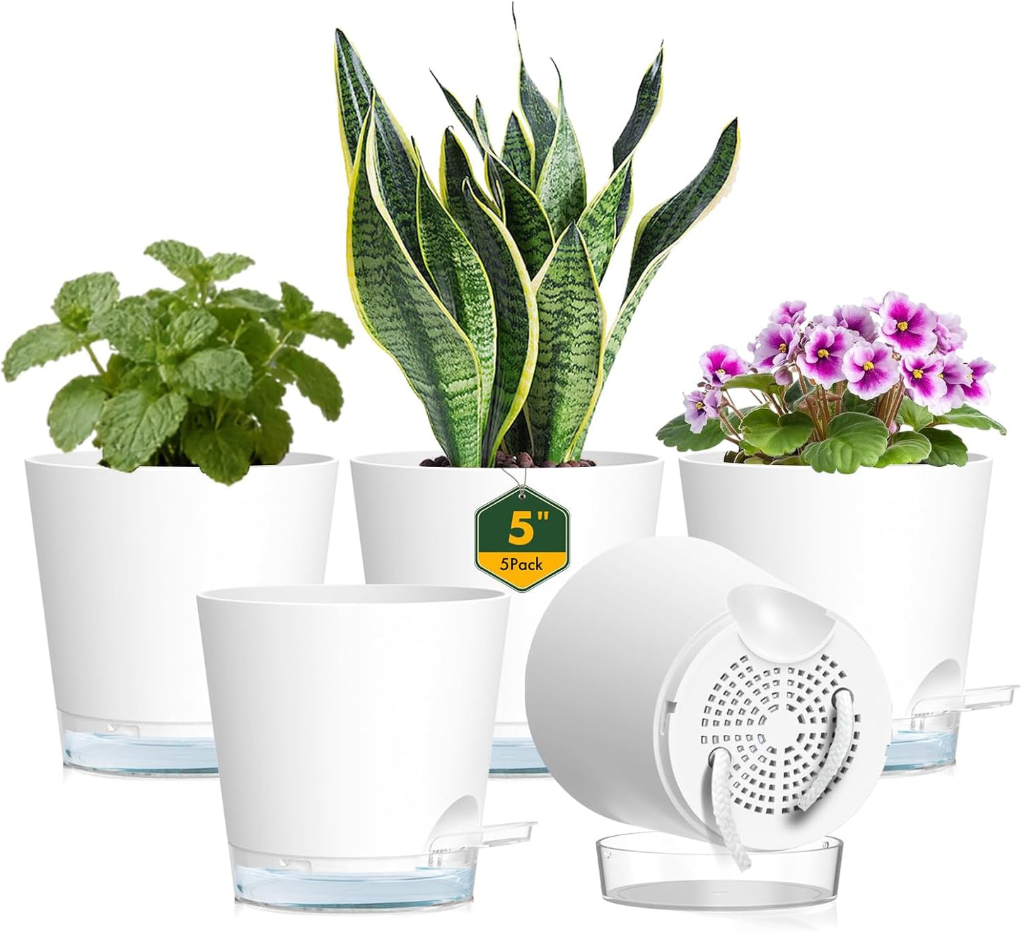 Meowell Self Watering Pots Pack of 6 – Different Size 4" to 7" Indoor Plant Pots with Drainage Holes and Clear Reservoir for Visible Water Level, Plastic Wicking Planters for House Plants, White