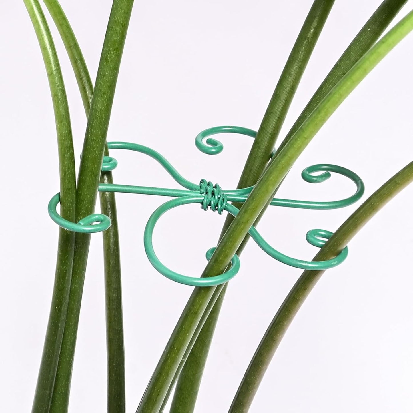 5PCS Monstera Plant Support Hook - 4.1 * 4.4IN Stem Holder