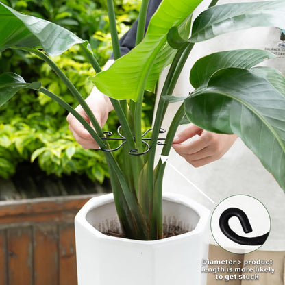 5PCS Monstera Plant Support Hook - 4.1 * 4.4IN Stem Holder