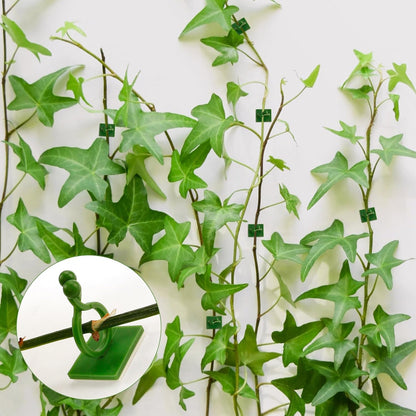 120 Pcs Plant Climbing Wall Fixture Clips, Green Plant Fixer with Self-Adhesive Hook, Fixing Clip Vines Holder for Indoor Outdoor Plants Support Cable Wire (Small, Medium, Large)
