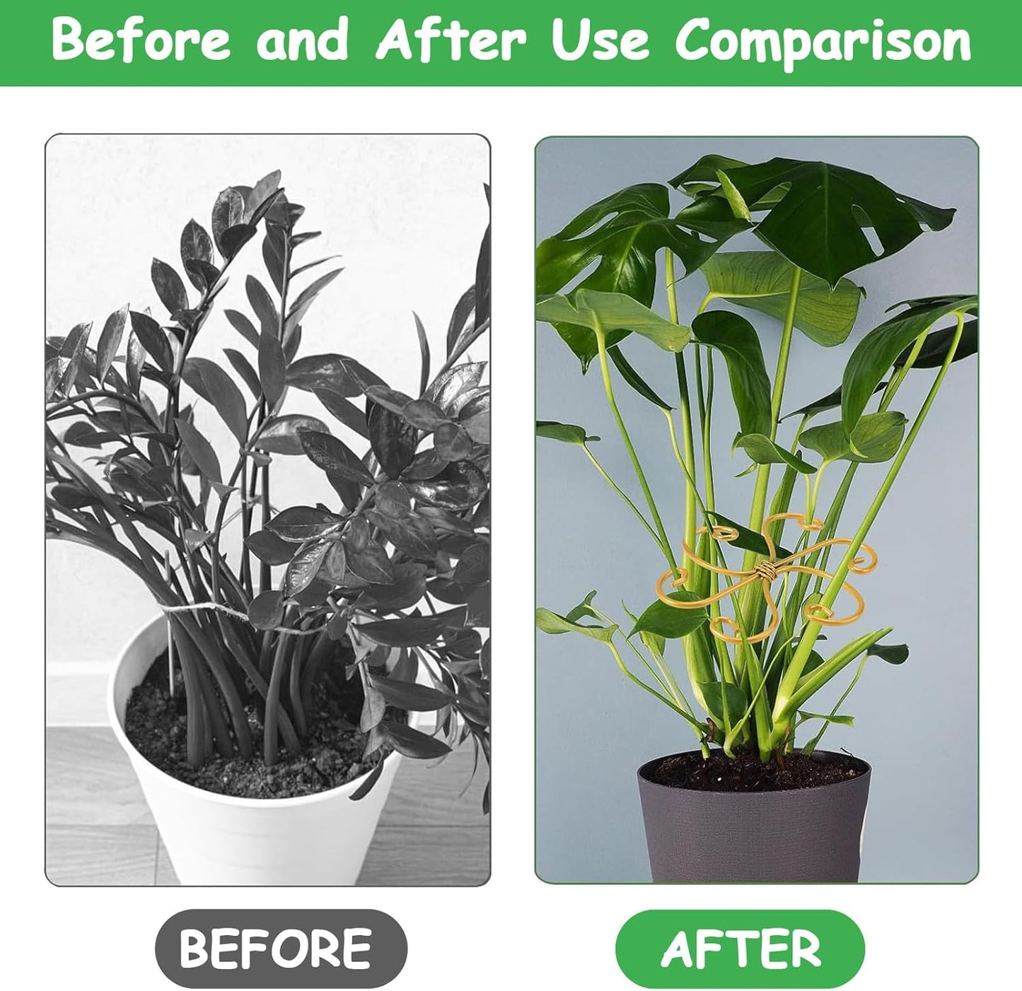 5 Pcs Plant Stem Support, Iron Monstera Plant Support, Durable Hook Stem Supports for Healthy Growth, Bamboo Clamp Set for Leaf Stabilization and Support, Ideal Present for Plant Lovers