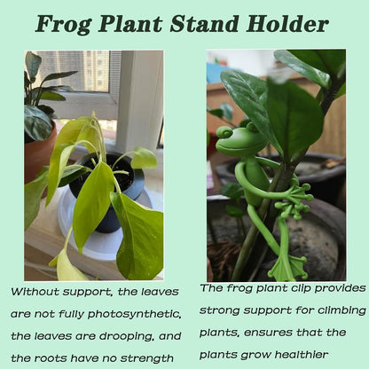 YVPSI 6pcs Frog Plant Stand Holder Support Frog Plant Holder Plant Propagation Buddy Climbing Fixture Clips Garden Clips for Indoor Outdoor Potted Climbing Plants Accessories