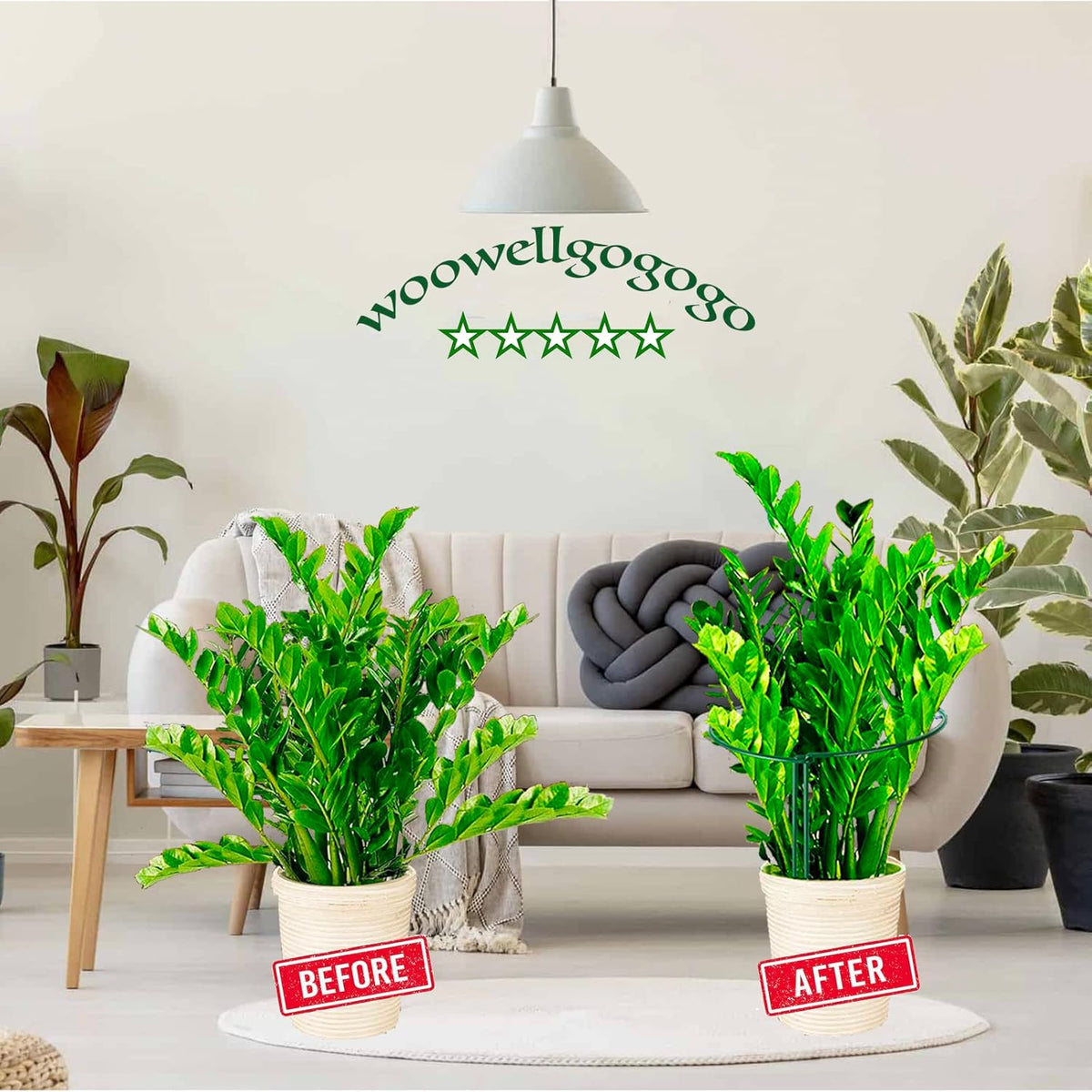 Snake Plant Support Stake - Half Round Peony Stake and Support, Heavy Duty Hydrangea Support Cage, Half Moon Houseplant Support Ring for Potted Indoor Plants (4 Pack, 14x8Inch)