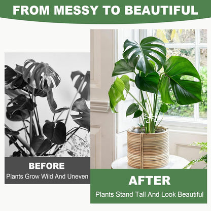 8 Pack Upgraded Plant Stem Support, Clear Plant Support for Indoor Plants, Monstera Plant Support, Reusable Plant Stabilizer, 4 Sizes Included Plant Accessories