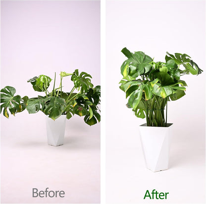 5PCS Monstera Plant Support Hook - 4.1 * 4.4IN Stem Holder