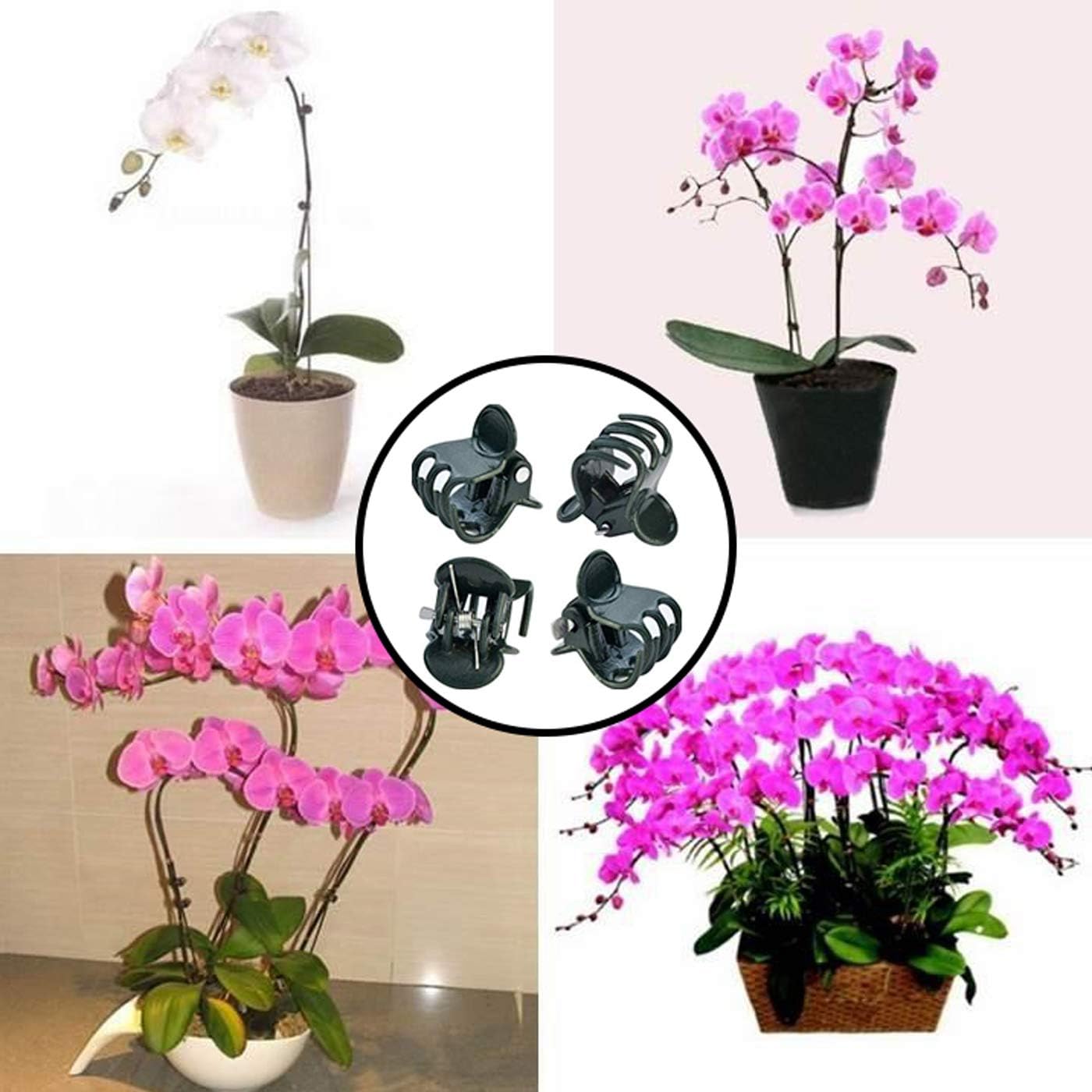 100 Pcs Plastic Plant Support Clips Trellis Clips Garden Clips Tomato Clips for Climbing Plants, Vegetables Plants Climbing Plants Grape Vine to Grow Upright and Healthier