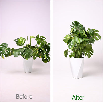 5PCS Monstera Plant Support Hook - 4.1 * 4.4IN Stem Holder