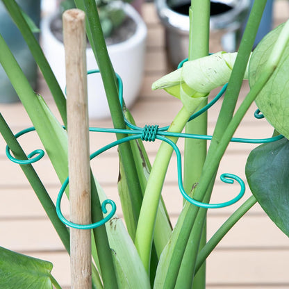 5PCS Monstera Plant Support Hook - 4.1 * 4.4IN Stem Holder