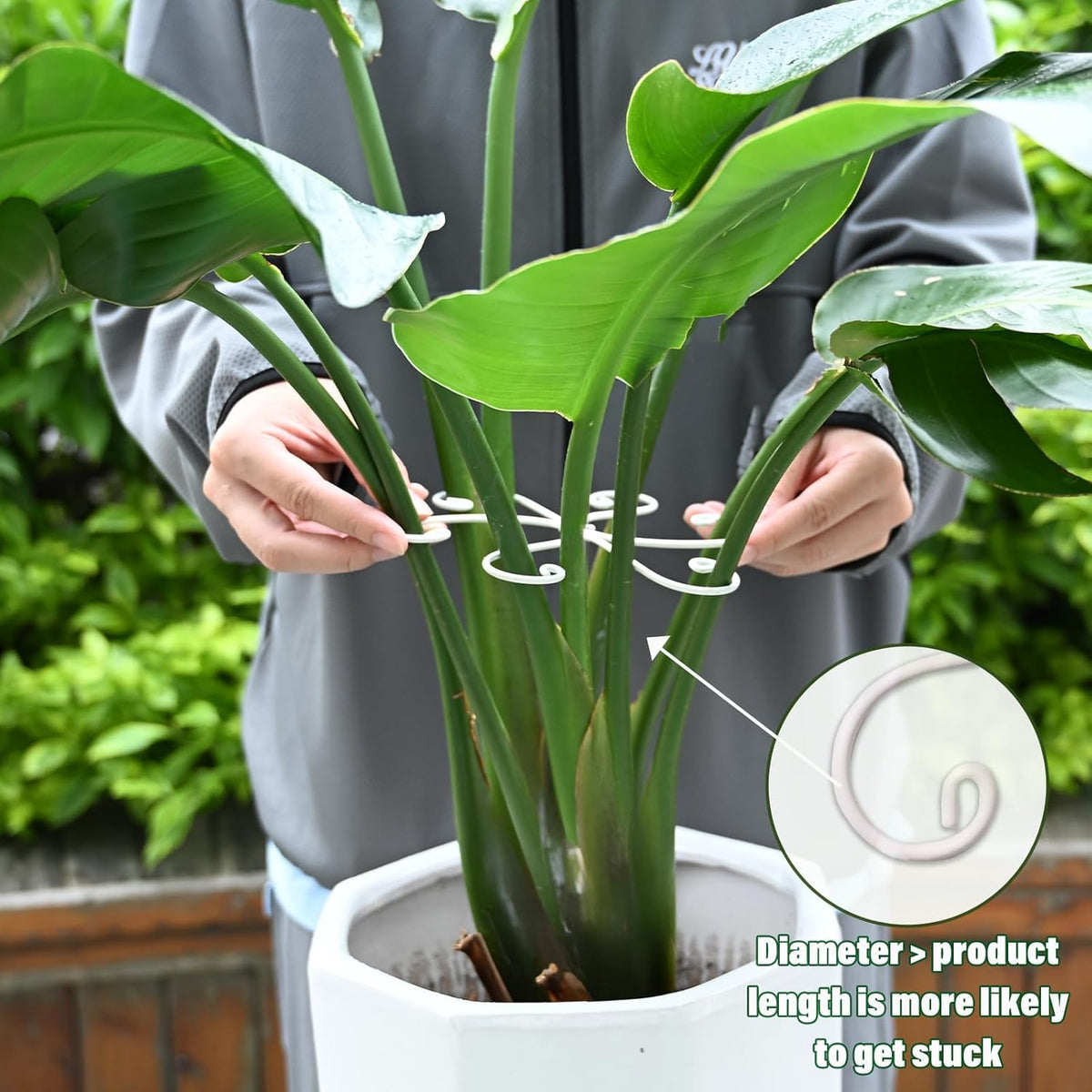5PCS Monstera Plant Support Hook - 4.1 * 4.4IN Stem Holder