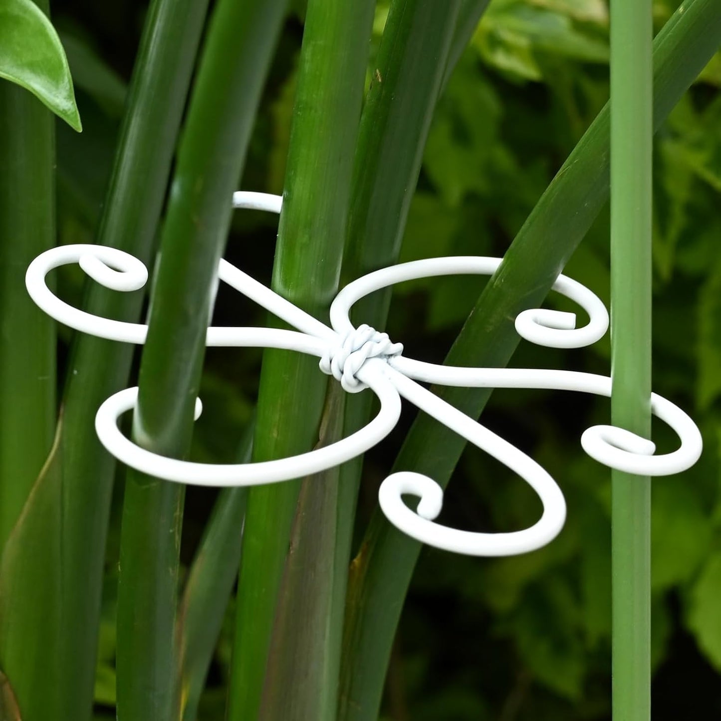 5PCS Monstera Plant Support Hook - 4.1 * 4.4IN Stem Holder