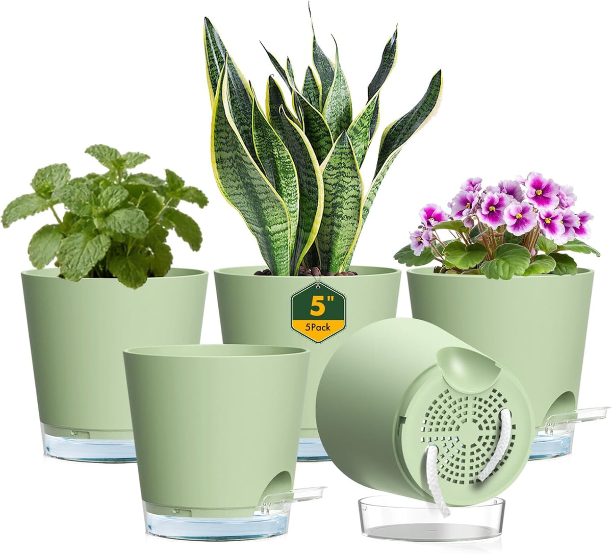Meowell Self Watering Pots Pack of 6 – Different Size 4" to 7" Indoor Plant Pots with Drainage Holes and Clear Reservoir for Visible Water Level, Plastic Wicking Planters for House Plants, White