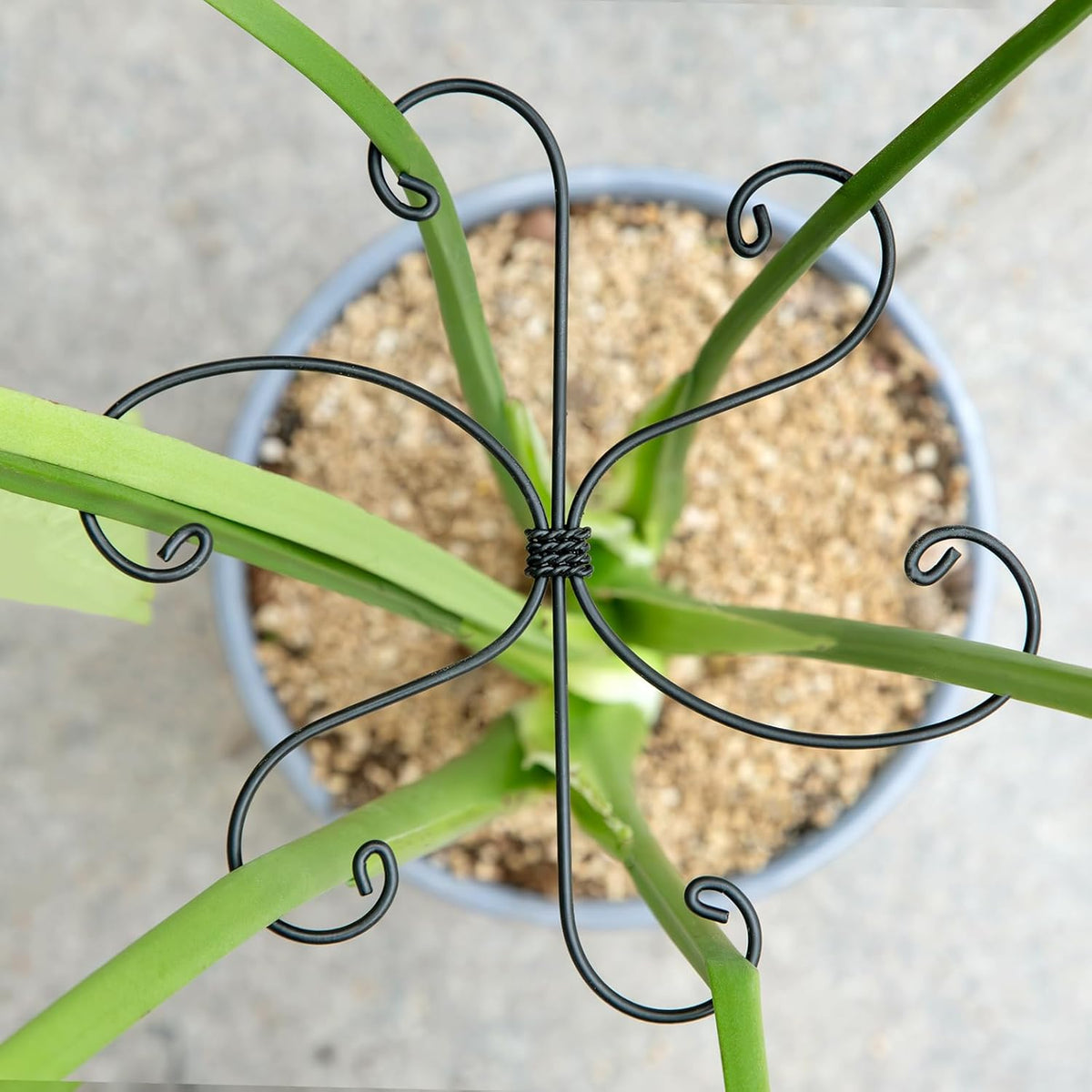 5PCS Monstera Plant Support Hook - 4.1 * 4.4IN Stem Holder