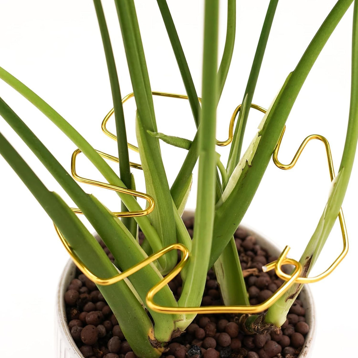5 Pcs Plant Stem Support, Iron Monstera Plant Support, Durable Hook Stem Supports for Healthy Growth, Bamboo Clamp Set for Leaf Stabilization and Support, Ideal Present for Plant Lovers