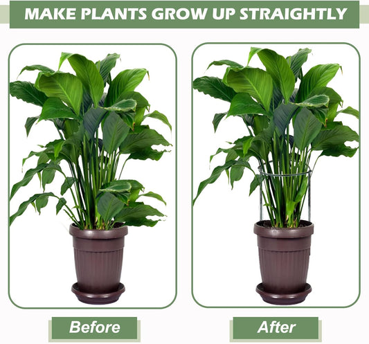 12 Pack Plant Support Stake Peony Cages, 16 Inch Peony Supports for Outdoor Plants, with 15 Pcs Plant Labels, 20 Pcs Plant Clips, 7ft Plant Ties
