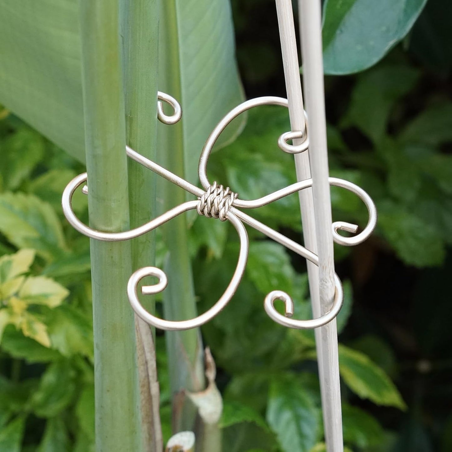 5PCS Monstera Plant Support Hook - 4.1 * 4.4IN Stem Holder