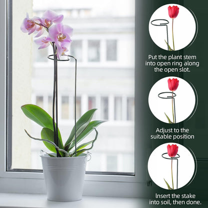 Green Metal Plant Support Stakes with Rings (Pack of 8) and 10 Plant Clips - Garden Single Stem Support Rod Set for Amaryllis, Rose, Tomato Seedling, Sapling