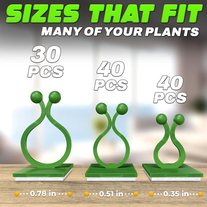 Plant Wall Clips for Climbing Plants 110 Pcs - Pothos Plant Climber Support, Large, Medium, Small Sizes Wall Clips for Support, Strong Self-Adhesive, For Indoor Plants, Cable Management & Plant Holder