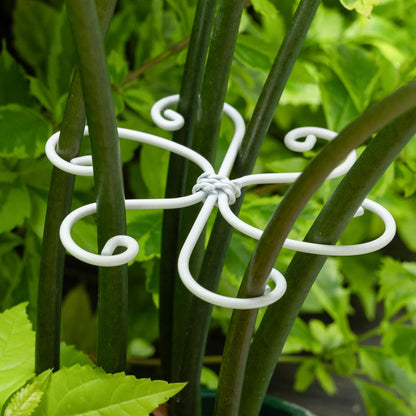 5PCS Monstera Plant Support Hook - 4.1 * 4.4IN Stem Holder