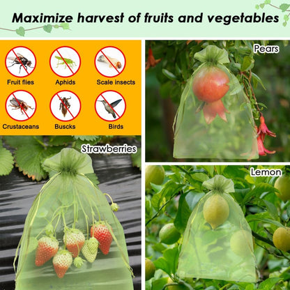 Shintop 100Pcs Fruit Protection Bags, 4x6 Inch Green Strawberry Netting Cover Drawstring Mesh Bags Pest Barrier for Blueberry Small Fruit