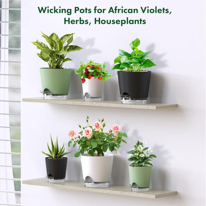 Meowell Self Watering Pots Pack of 6 – Different Size 4" to 7" Indoor Plant Pots with Drainage Holes and Clear Reservoir for Visible Water Level, Plastic Wicking Planters for House Plants, White