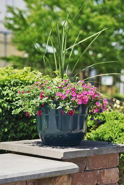 Garden Elements Indoor/Outdoor Glazed Brushed Happy Plastic Planter, Large, Bright Pink, 15"