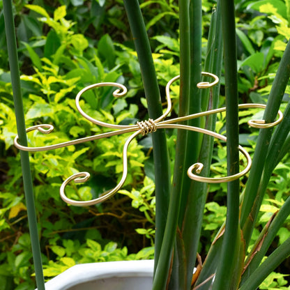 5PCS Monstera Plant Support Hook - 4.1 * 4.4IN Stem Holder
