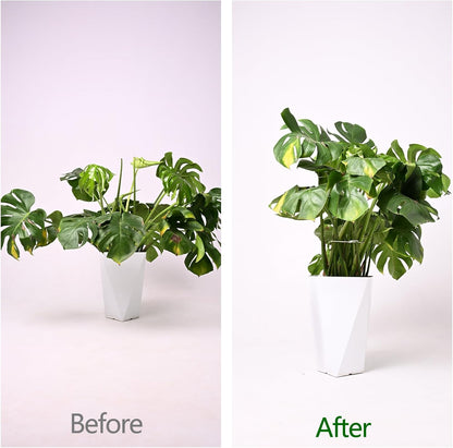 5PCS Monstera Plant Support Hook - 4.1 * 4.4IN Stem Holder