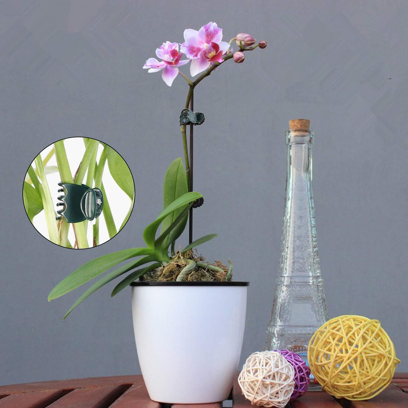 100 Pcs Plastic Plant Support Clips Trellis Clips Garden Clips Tomato Clips for Climbing Plants, Vegetables Plants Climbing Plants Grape Vine to Grow Upright and Healthier