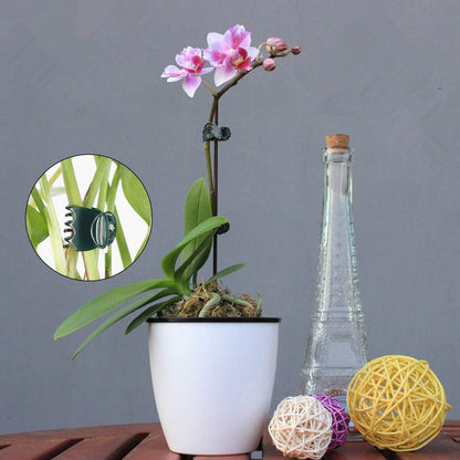 100 Pcs Plastic Plant Support Clips Trellis Clips Garden Clips Tomato Clips for Climbing Plants, Vegetables Plants Climbing Plants Grape Vine to Grow Upright and Healthier