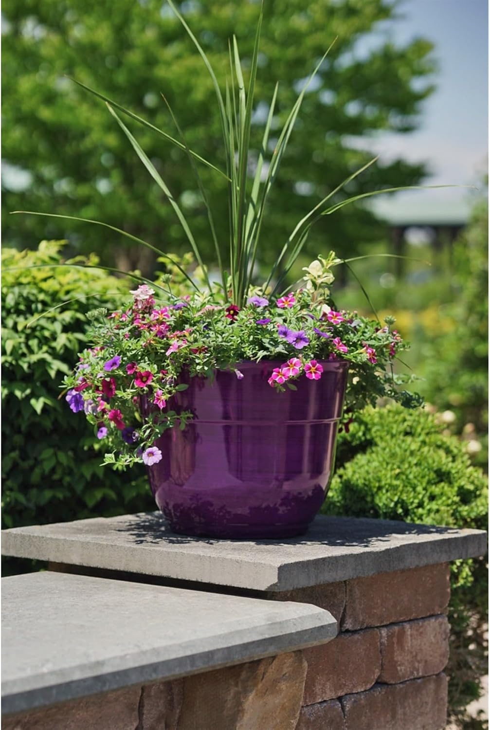Garden Elements Indoor/Outdoor Glazed Brushed Happy Plastic Planter, Large, Bright Pink, 15"