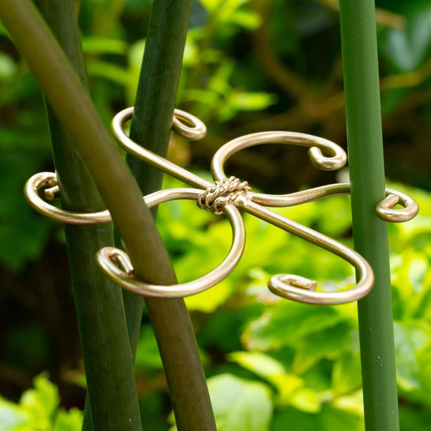 5PCS Monstera Plant Support Hook - 4.1 * 4.4IN Stem Holder