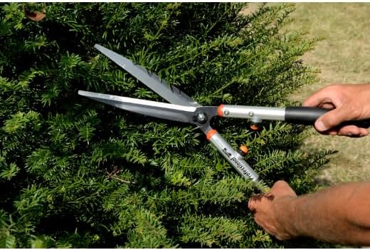 Hedge Shears Super Lightweight Short Handle Blade 25 Cm P54 - Sl - 25