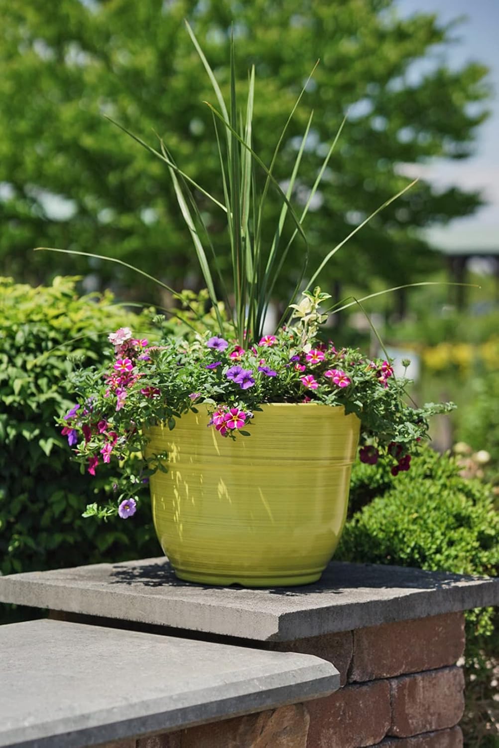 Garden Elements Indoor/Outdoor Glazed Brushed Happy Plastic Planter, Large, Bright Pink, 15"