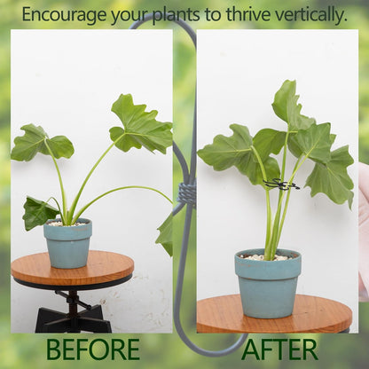 5PCS Monstera Plant Support Hook - 4.1 * 4.4IN Stem Holder