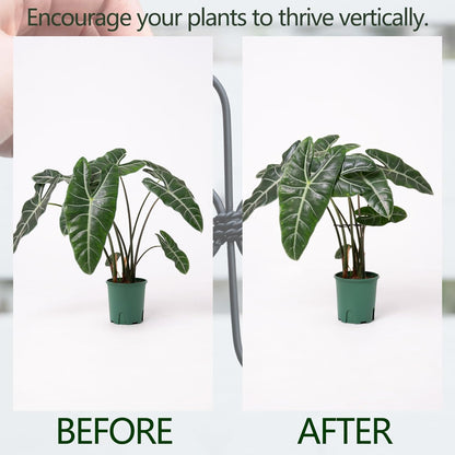 5PCS Monstera Plant Support Hook - 4.1 * 4.4IN Stem Holder