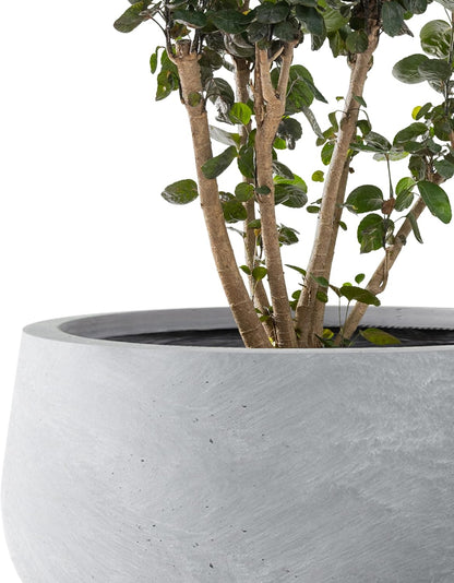Kante 15.7" Dia Round Concrete Planter, Outdoor Indoor Garden Plant Pots with Drainage Hole and Rubber Plug, Modern Curvaceous Design, Slate Gray