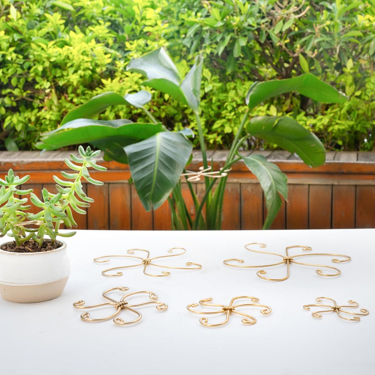 5PCS Monstera Plant Support Hook - 4.1 * 4.4IN Stem Holder