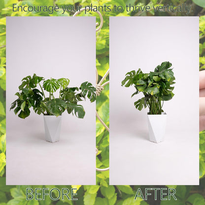 5PCS Monstera Plant Support Hook - 4.1 * 4.4IN Stem Holder