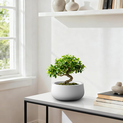 Kante 15.7" Dia Round Concrete Planter, Outdoor Indoor Garden Plant Pots with Drainage Hole and Rubber Plug, Modern Curvaceous Design, Slate Gray