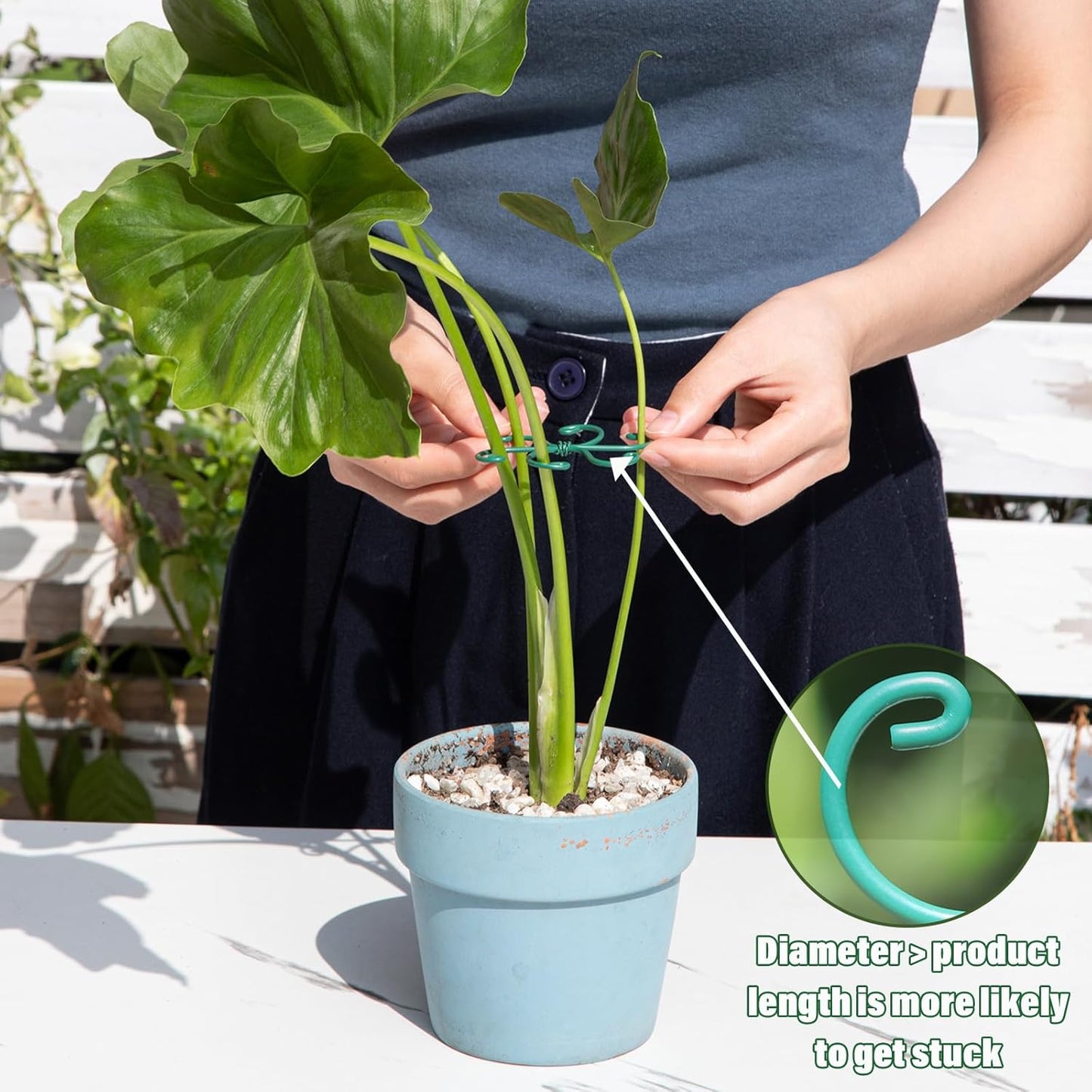 5PCS Monstera Plant Support Hook - 4.1 * 4.4IN Stem Holder
