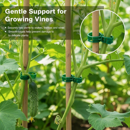 100Pcs Plant Support Clips - Plastic Stem Clips for Climbing Plants, Tomato Vines, Grape Vegetables, Secure & Reusable Garden Clips (Green)