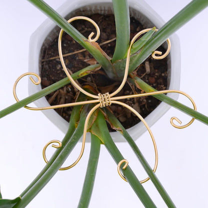 5PCS Monstera Plant Support Hook - 4.1 * 4.4IN Stem Holder